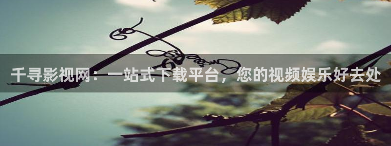 6080影院新视觉6080